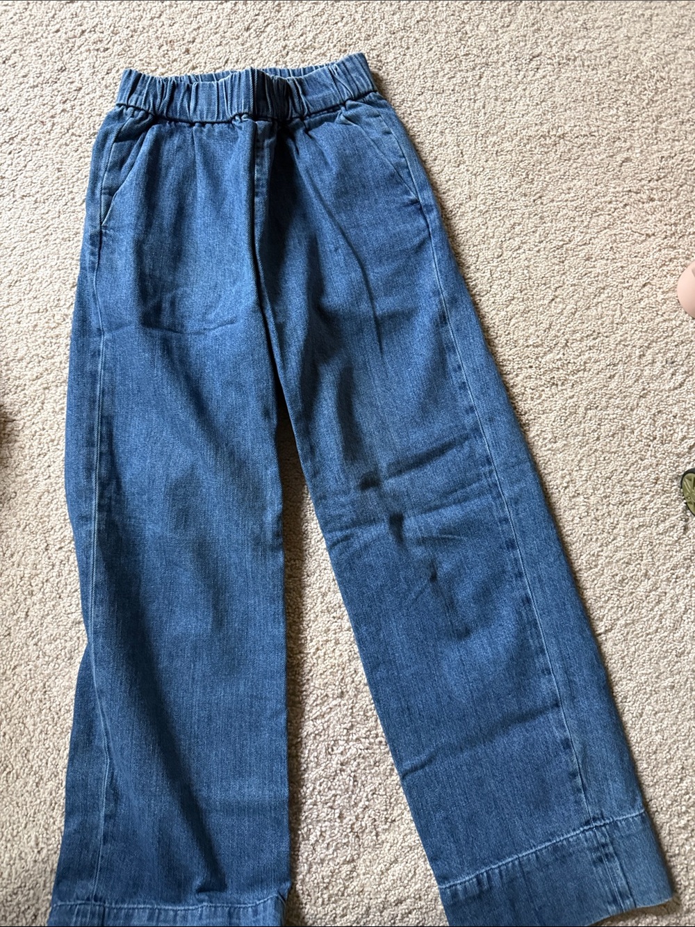 Everlane Blue Elastic-Waist Denim Pants